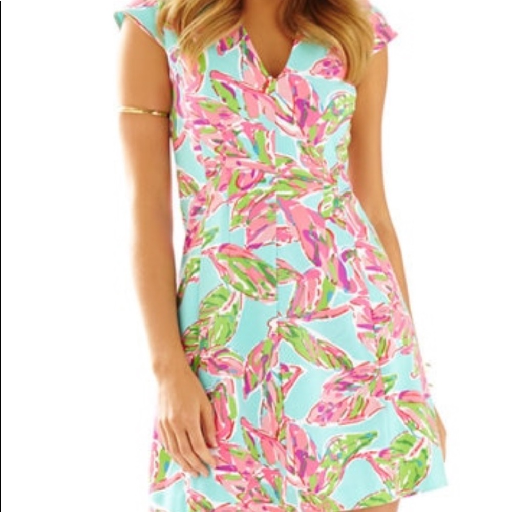 Lilly Pulitzer Briella Fit and Flare Dress
